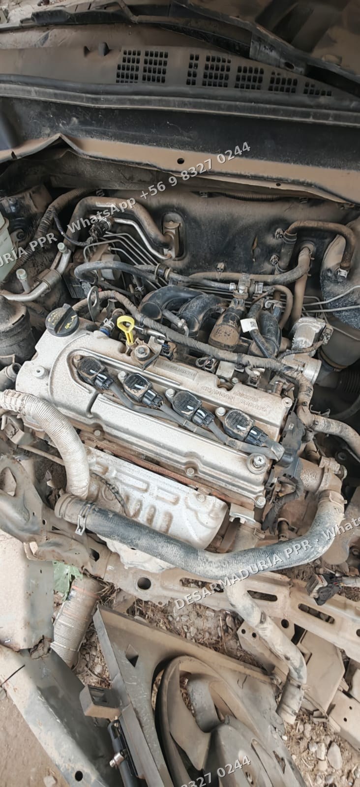 Motor Changan CS15 1.5 2023 (JL473QF)